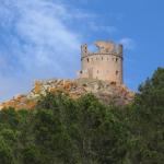 إمارة النكور من أقدم الكيانات السياسية الإسلامية في المغرب