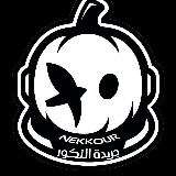 جريدة النكور